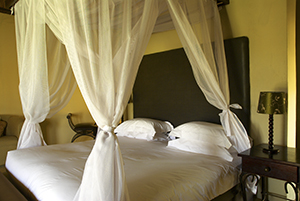 View of bedroom at Arathusa Safari Lodge